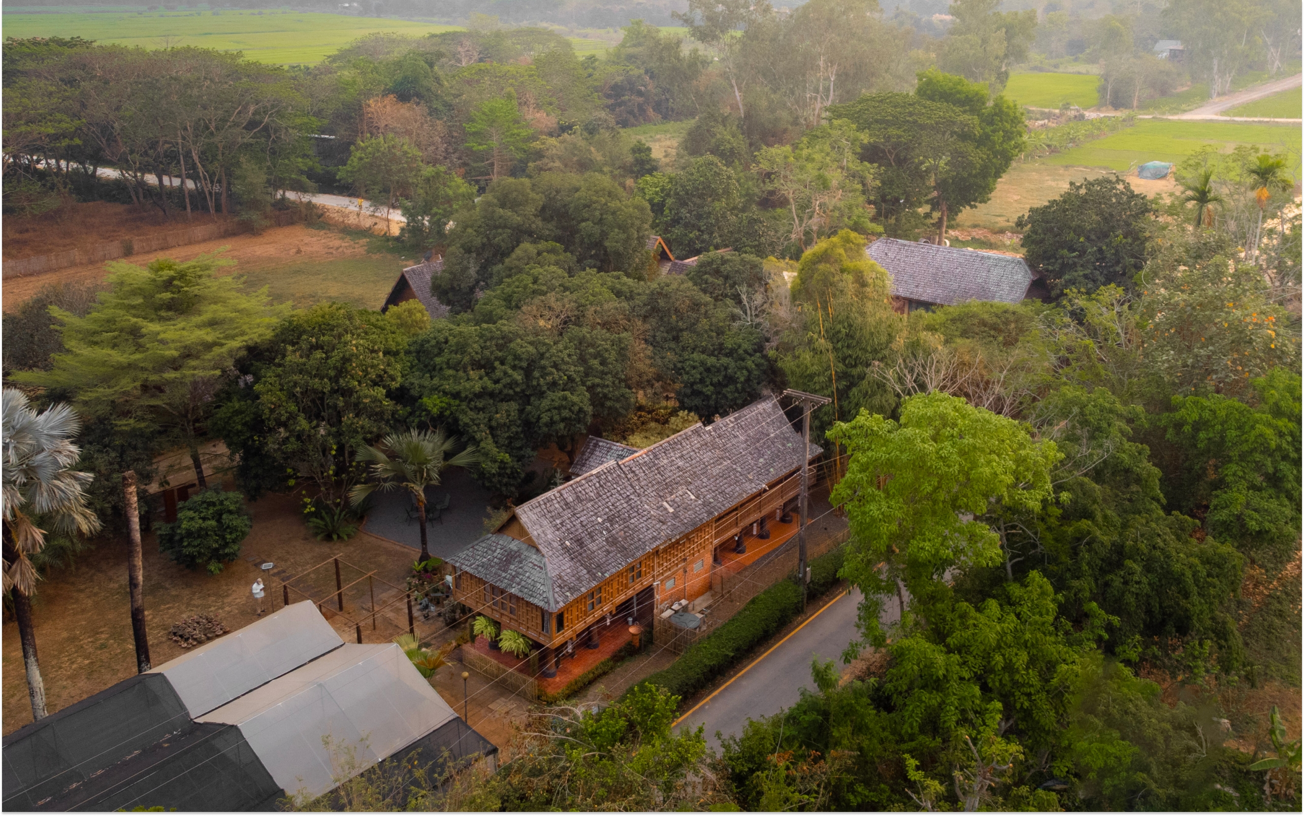 Overhead perspective of a house enveloped by trees