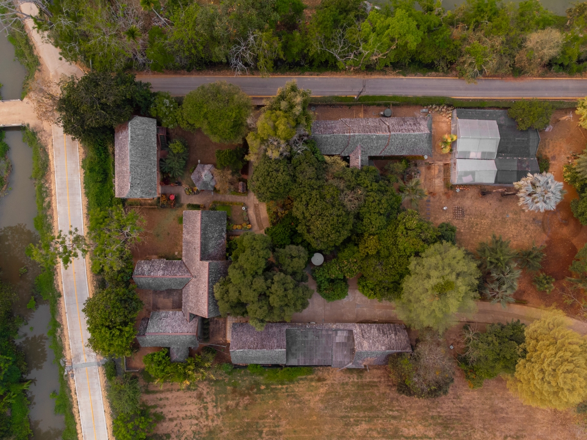 Aerial view of rural houses and trees in a peaceful countryside setting